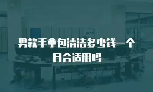 男款手拿包清洁多少钱一个月合适用吗