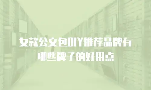 女款公文包DIY推荐品牌有哪些牌子的好用点