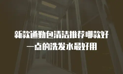新款通勤包清洁推荐哪款好一点的洗发水最好用