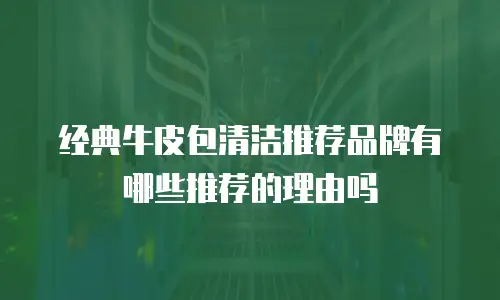 经典牛皮包清洁推荐品牌有哪些推荐的理由吗