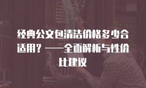 经典公文包清洁价格多少合适用？&mdash;&mdash;全面解析与性价比建议