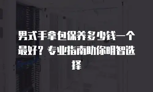 男式手拿包保养多少钱一个最好？专业指南助你明智选择