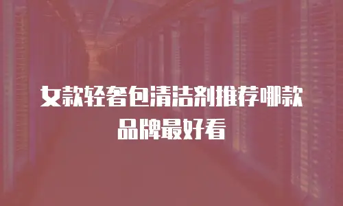 女款轻奢包清洁剂推荐哪款品牌最好看