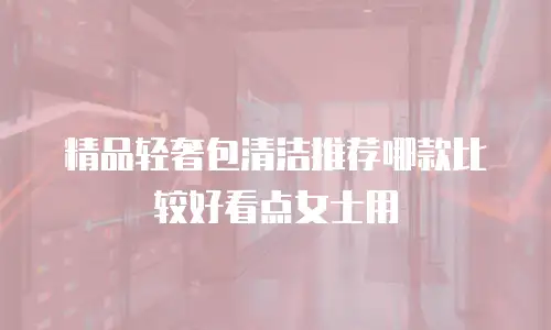 精品轻奢包清洁推荐哪款比较好看点女士用