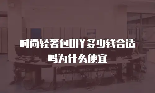 时尚轻奢包DIY多少钱合适吗为什么便宜
