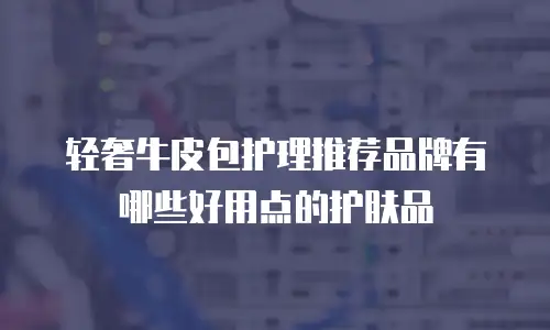 轻奢牛皮包护理推荐品牌有哪些好用点的护肤品