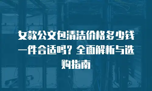 女款公文包清洁价格多少钱一件合适吗？全面解析与选购指南