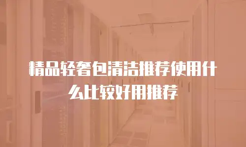 精品轻奢包清洁推荐使用什么比较好用推荐