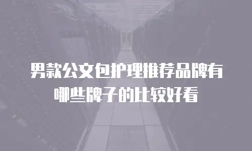 男款公文包护理推荐品牌有哪些牌子的比较好看
