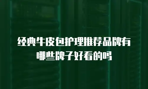 经典牛皮包护理推荐品牌有哪些牌子好看的吗