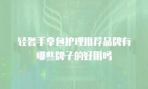 轻奢手拿包护理推荐品牌有哪些牌子的好用吗