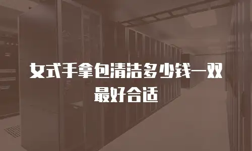 女式手拿包清洁多少钱一双最好合适