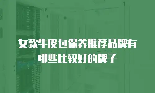 女款牛皮包保养推荐品牌有哪些比较好的牌子