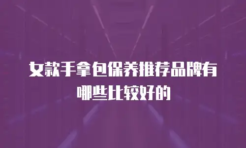 女款手拿包保养推荐品牌有哪些比较好的