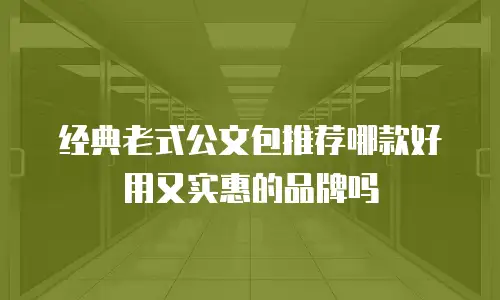 经典老式公文包推荐哪款好用又实惠的品牌吗