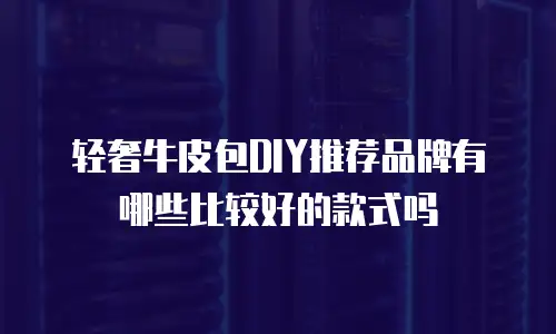 轻奢牛皮包DIY推荐品牌有哪些比较好的款式吗