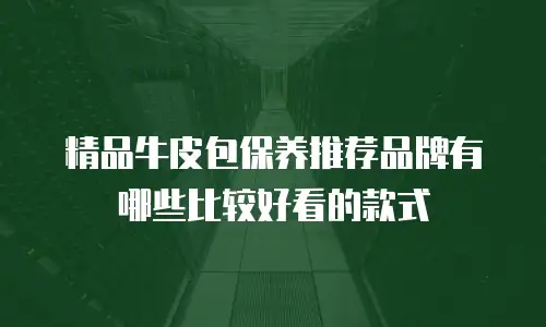 精品牛皮包保养推荐品牌有哪些比较好看的款式