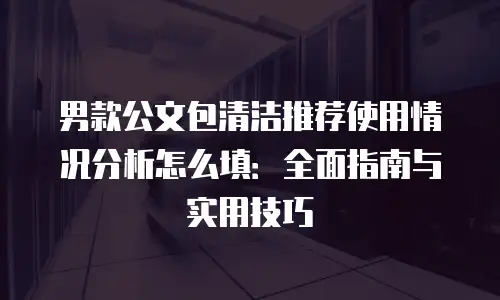 男款公文包清洁推荐使用情况分析怎么填：全面指南与实用技巧