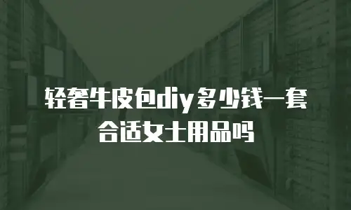 轻奢牛皮包diy多少钱一套合适女士用品吗