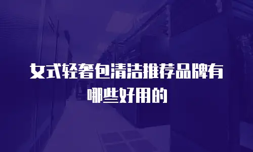 女式轻奢包清洁推荐品牌有哪些好用的