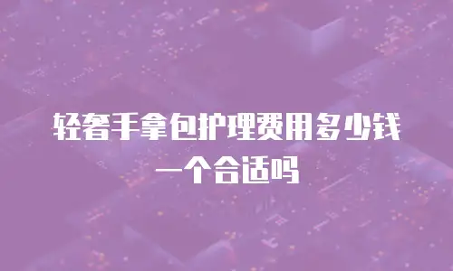 轻奢手拿包护理费用多少钱一个合适吗