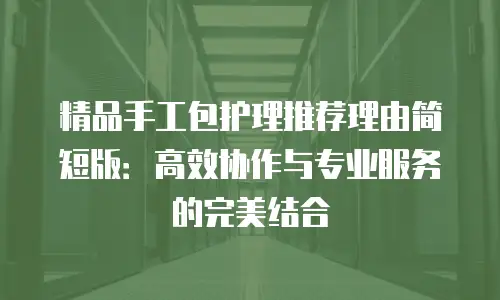 精品手工包护理推荐理由简短版：高效协作与专业服务的完美结合