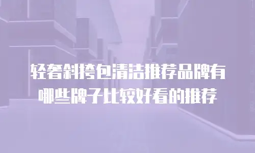 轻奢斜挎包清洁推荐品牌有哪些牌子比较好看的推荐