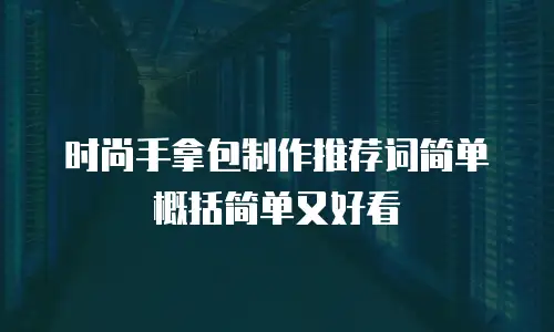 时尚手拿包制作推荐词简单概括简单又好看
