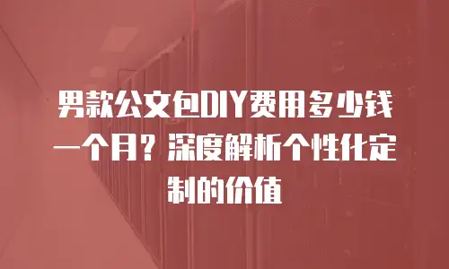 男款公文包DIY费用多少钱一个月？深度解析个性化定制的价值