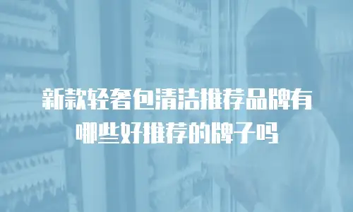 新款轻奢包清洁推荐品牌有哪些好推荐的牌子吗