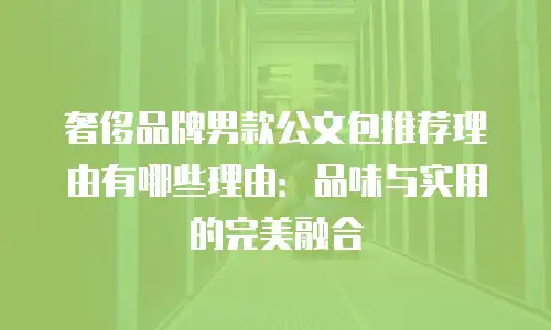 奢侈品牌男款公文包推荐理由有哪些理由：品味与实用的完美融合