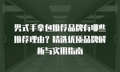男式手拿包推荐品牌有哪些推荐理由？精选优质品牌解析与实用指南