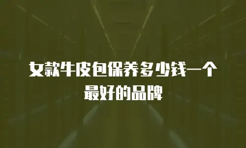 女款牛皮包保养多少钱一个最好的品牌