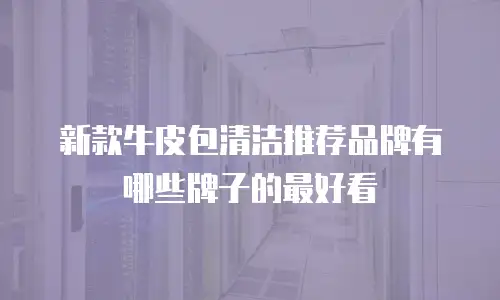新款牛皮包清洁推荐品牌有哪些牌子的最好看