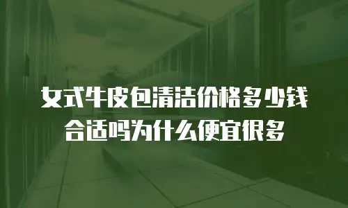 女式牛皮包清洁价格多少钱合适吗为什么便宜很多
