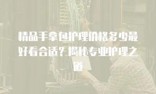 精品手拿包护理价格多少最好看合适？揭秘专业护理之道