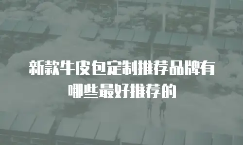 新款牛皮包定制推荐品牌有哪些最好推荐的
