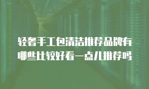 轻奢手工包清洁推荐品牌有哪些比较好看一点儿推荐吗