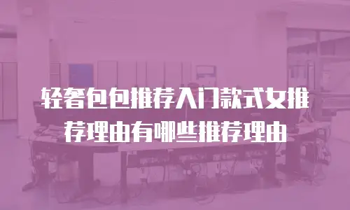 轻奢包包推荐入门款式女推荐理由有哪些推荐理由