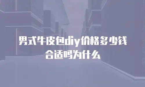 男式牛皮包diy价格多少钱合适吗为什么