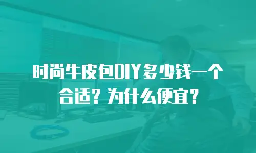 时尚牛皮包DIY多少钱一个合适？为什么便宜？