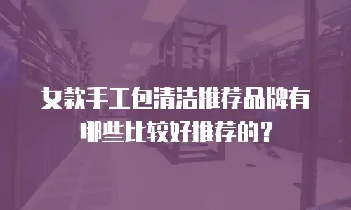 女款手工包清洁推荐品牌有哪些比较好推荐的？