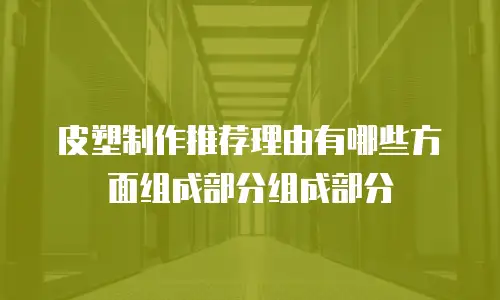 皮塑制作推荐理由有哪些方面组成部分组成部分
