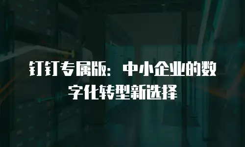钉钉专属版：中小企业的数字化转型新选择