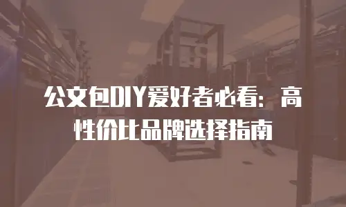 公文包DIY爱好者必看：高性价比品牌选择指南
