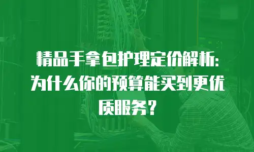 精品手拿包护理定价解析：为什么你的预算能买到更优质服务？