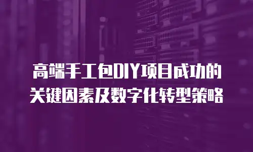 高端手工包DIY项目成功的关键因素及数字化转型策略
