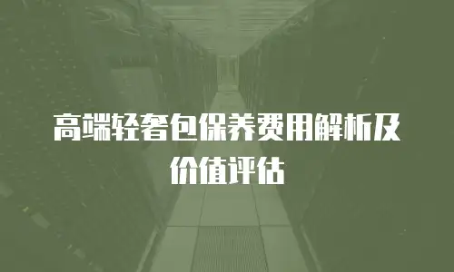 高端轻奢包保养费用解析及价值评估