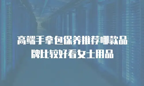 高端手拿包保养推荐哪款品牌比较好看女士用品