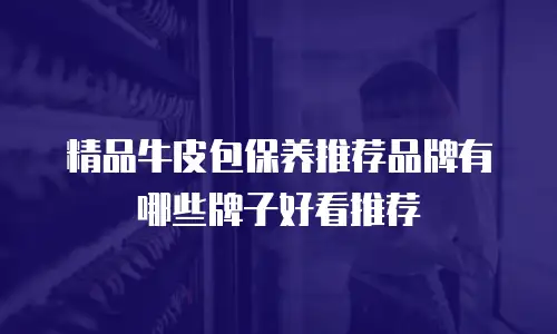 精品牛皮包保养推荐品牌有哪些牌子好看推荐